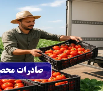 راهنمای صادرات محصولات کشاورزی به کشورهای همسایه